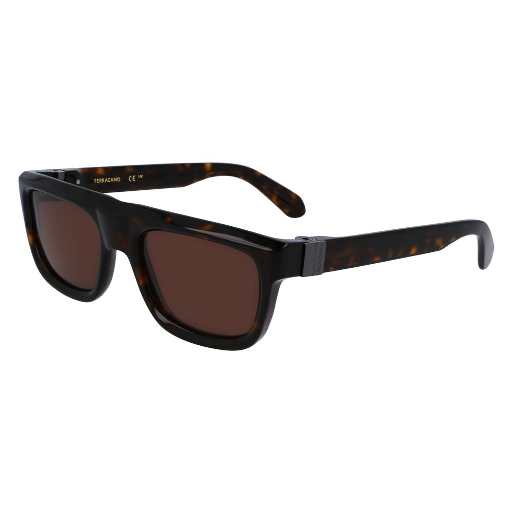 Ferragamo Brown Acetate Sunglasses - The Gentlemen's Vault