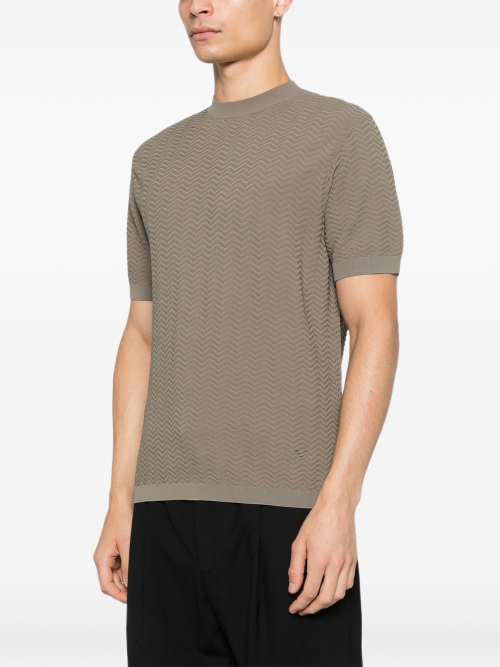 EMPORIO ARMANI CAPSULE PRE Sweaters Topwear Emporio Armani