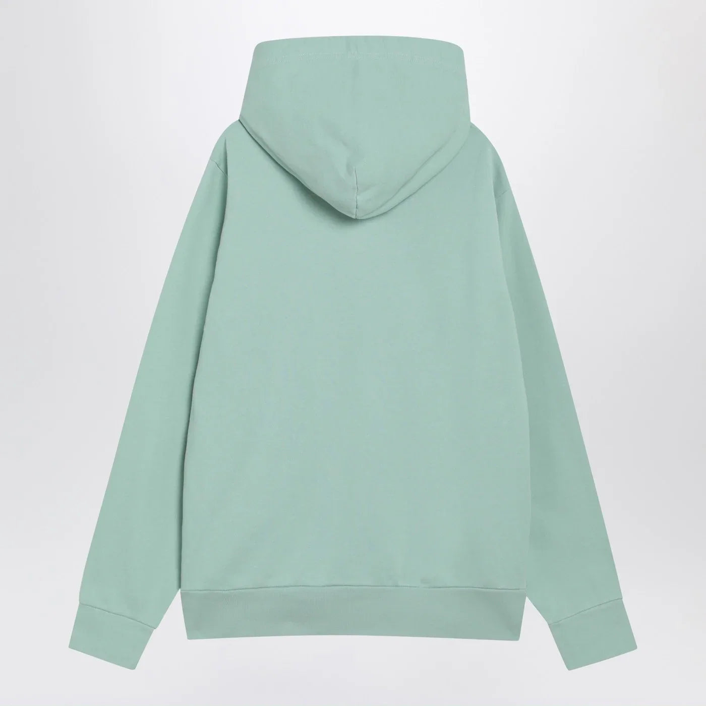 Polo Ralph Lauren Aquamarine cotton hoodie Topwear Polo Ralph Lauren