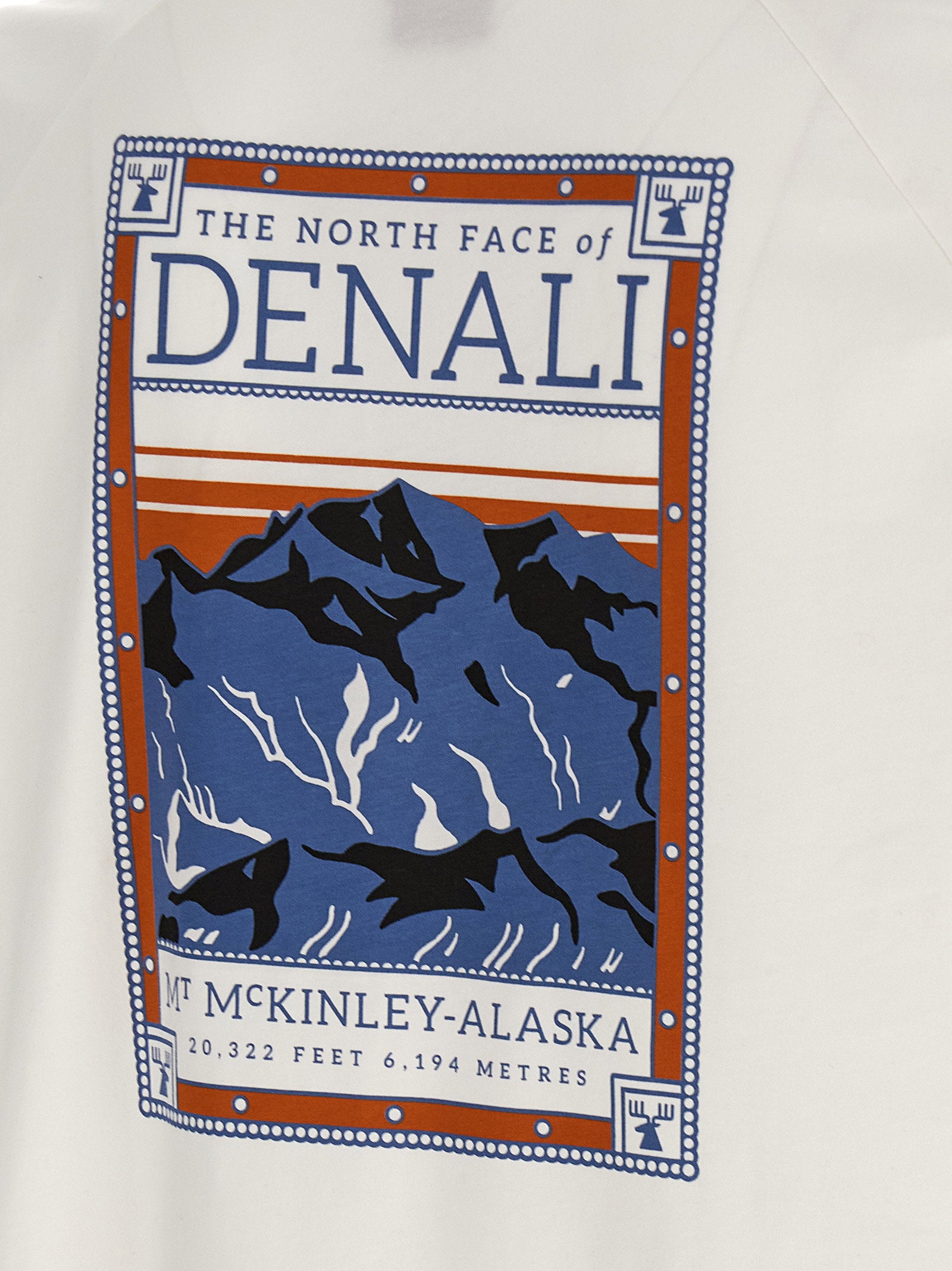 The North Face North Faces T-shirt Wit Topwear The North Face
