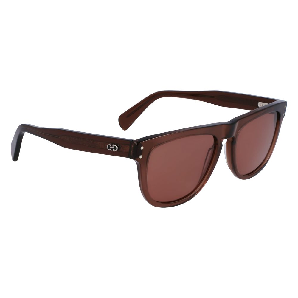 Ferragamo Brown Acetate Sunglasses - The Gentlemen's Vault