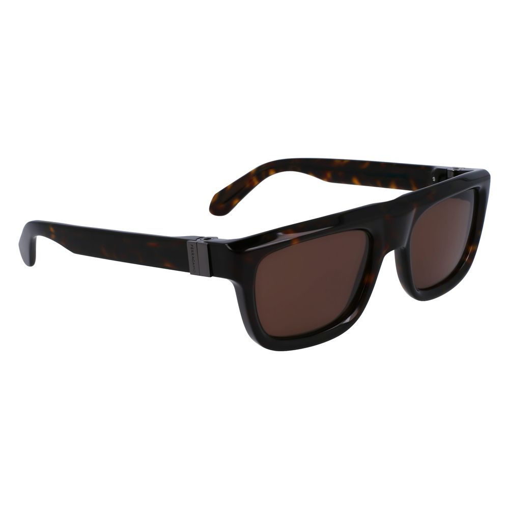 Ferragamo Brown Acetate Sunglasses - The Gentlemen's Vault